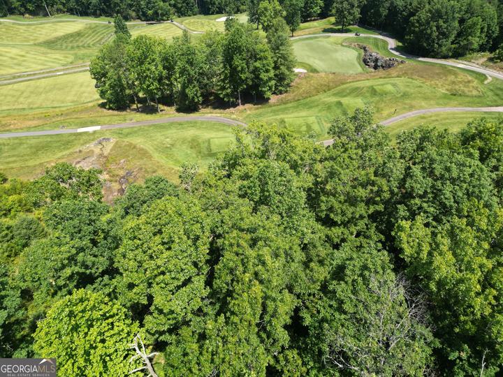 J35 Bent Grass, Clayton, GA - Image #13