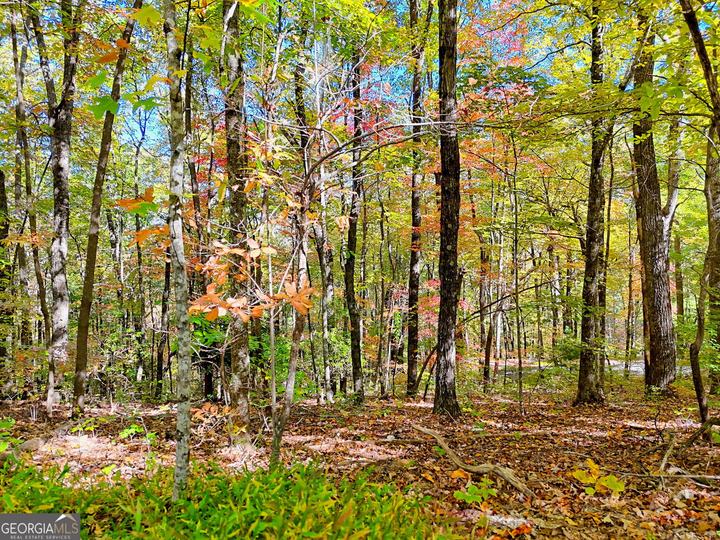 Charmont DR, Tiger, GA - Image #8