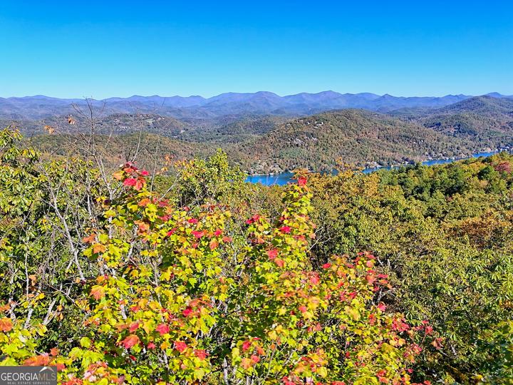 Charmont DR, Tiger, GA - Image #10