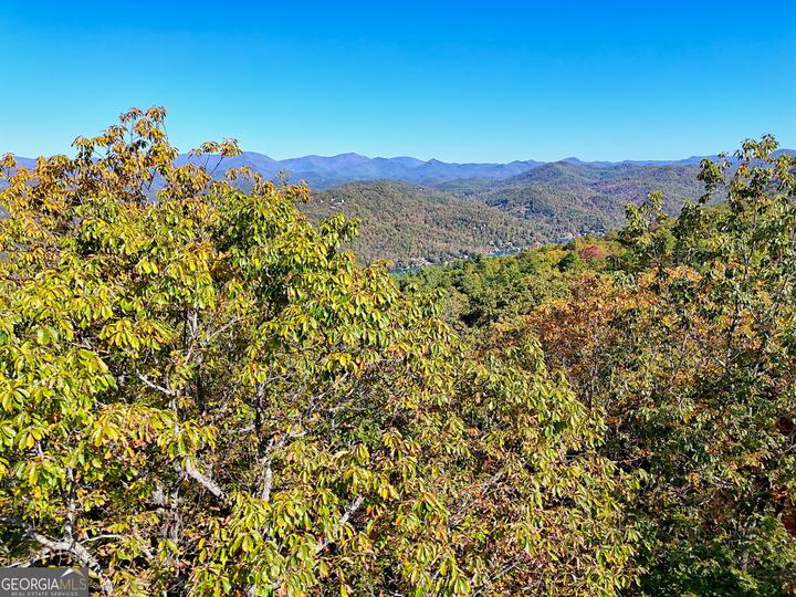 Charmont DR, Tiger, GA - Image #11