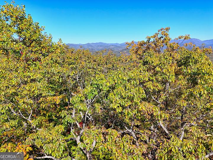 Charmont DR, Tiger, GA - Image #12
