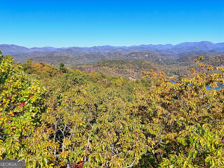 Charmont DR, Tiger, GA - Image #13