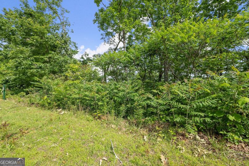 Lot 12a Winterberry Trl, Clayton, GA - Image #6