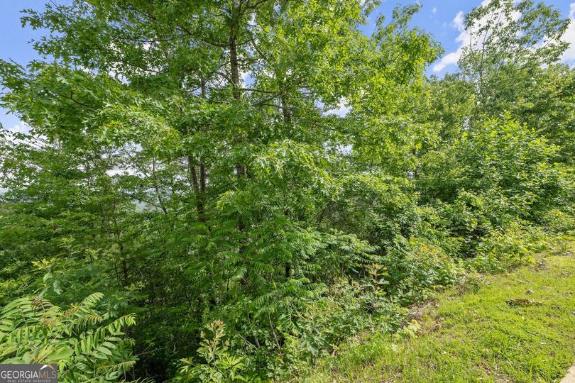 Lot 12a Winterberry Trl, Clayton, GA - Image #7