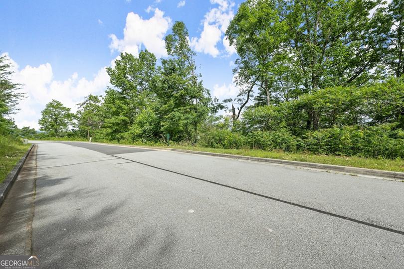 Lot 12a Winterberry Trl, Clayton, GA - Image #8