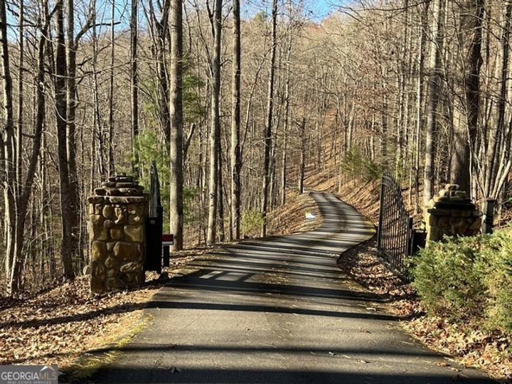 Forest Canopy Way, Clayton, GA - Image #10