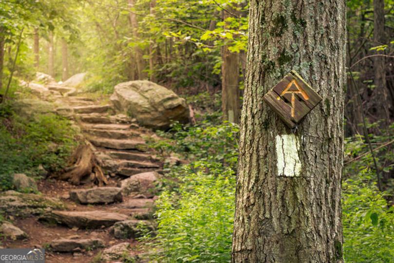 Forest Canopy Way, Clayton, GA - Image #13