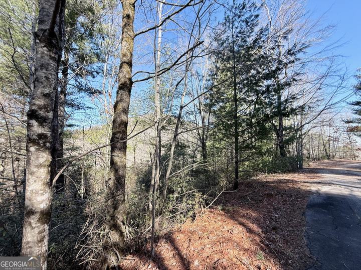 Rabun Bluffs DR, Lakemont, GA - Image #1