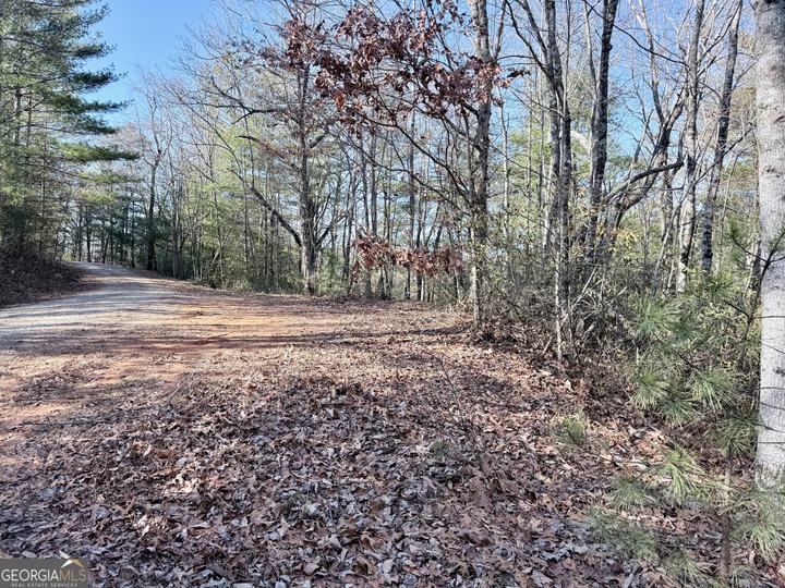 Rabun Bluffs DR, Lakemont, GA - Image #2