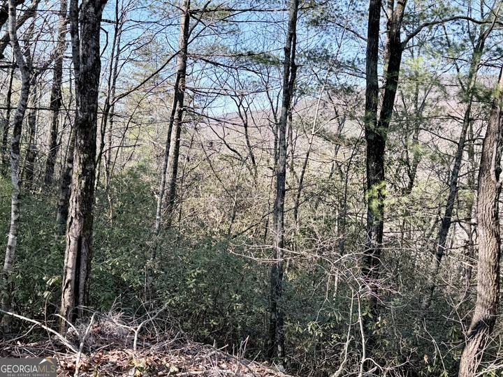 Rabun Bluffs DR, Lakemont, GA - Image #3
