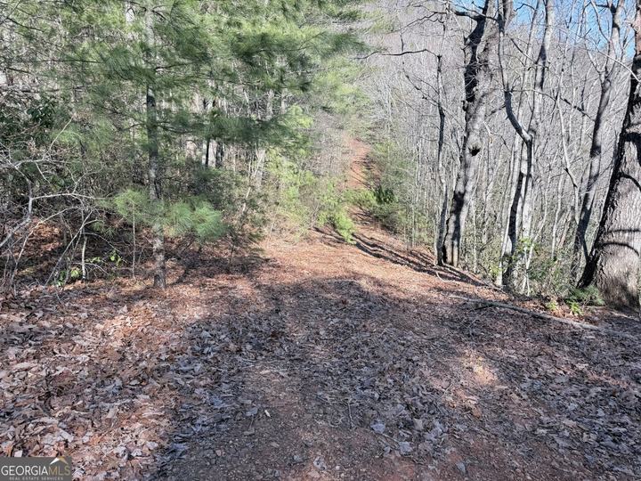 Rabun Bluffs DR, Lakemont, GA - Image #4