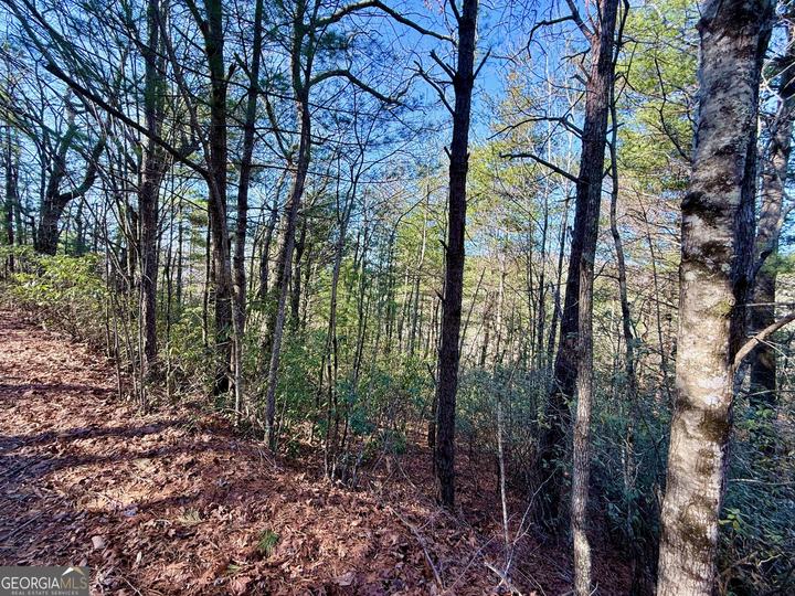 Rabun Bluffs DR, Lakemont, GA - Image #5