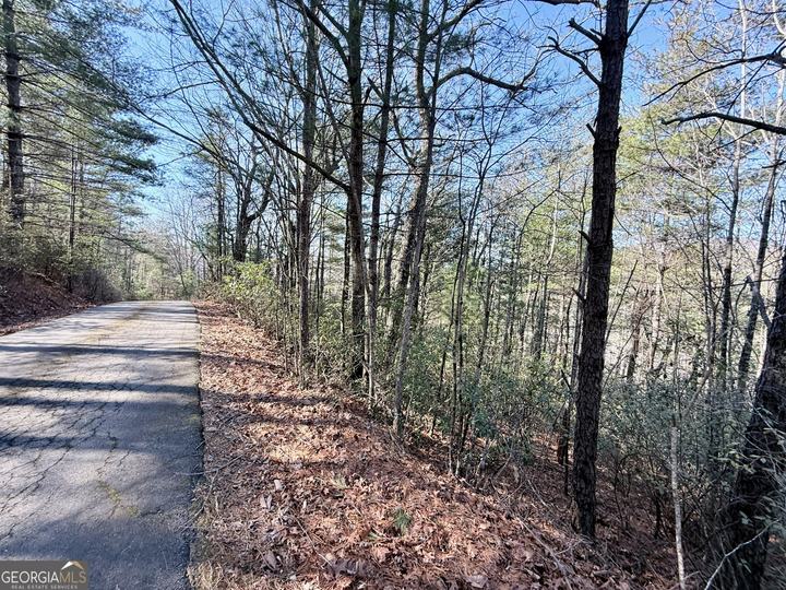 Rabun Bluffs DR, Lakemont, GA - Image #6