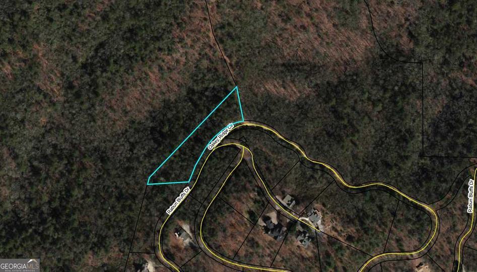 Rabun Bluffs DR, Lakemont, GA - Image #7