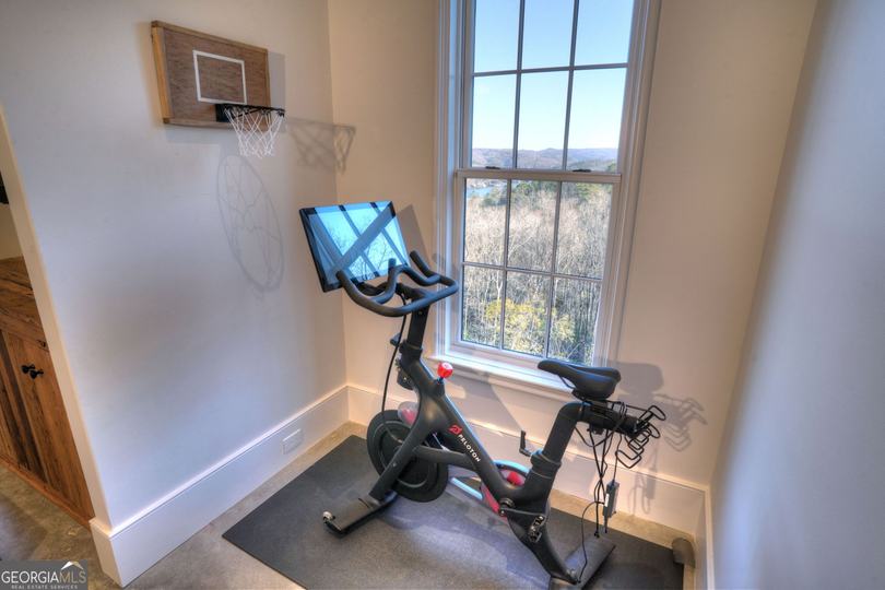 814 Summit Rdg, Clarkesville, GA - Image #64