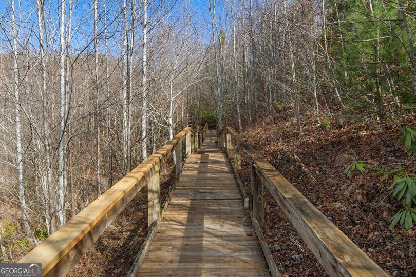 1242 Moccasin Creek RD, Clarkesville, GA - Image #10