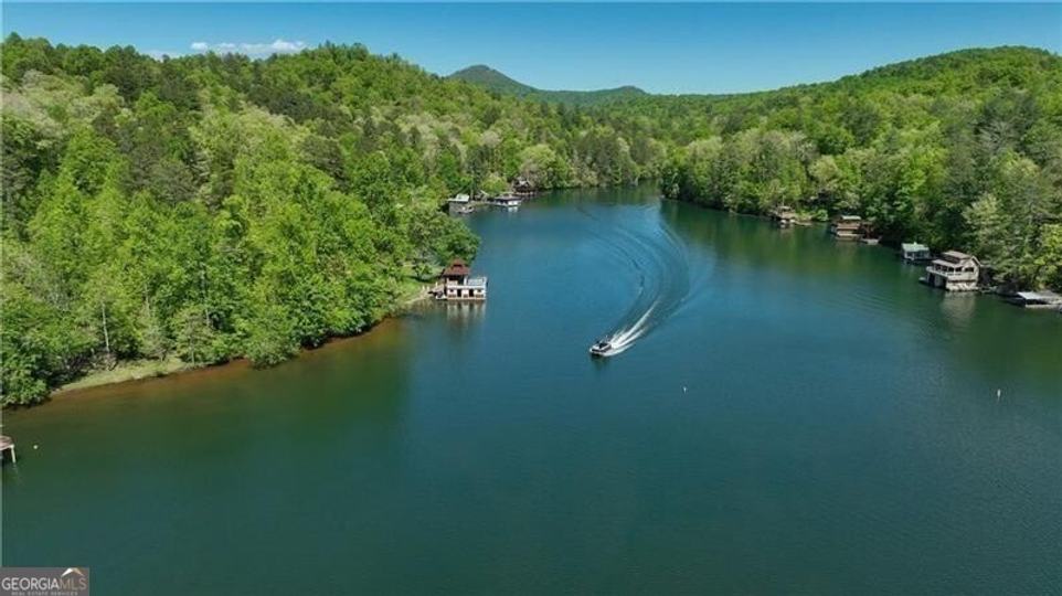 130 Cove View LN, Clarkesville, GA - Image #12