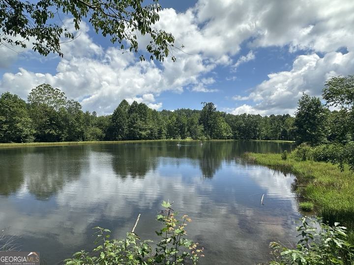 130 Cove View LN, Clarkesville, GA - Image #19