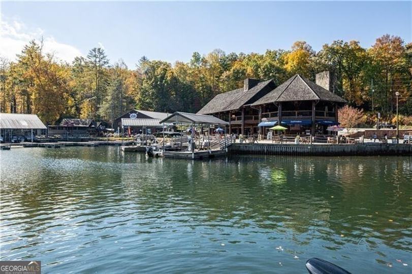 130 Cove View LN, Clarkesville, GA - Image #28