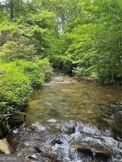 130 Cove View LN, Clarkesville, GA - Image #30