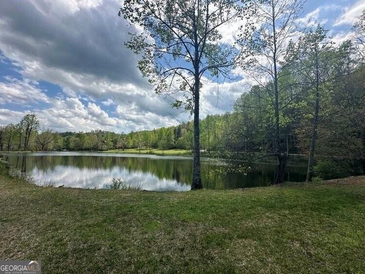 90 Cove View LN, Clarkesville, GA - Image #21