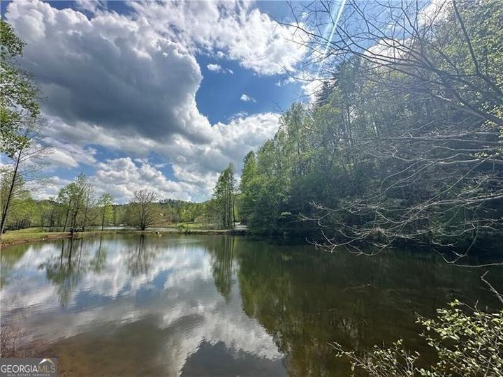 90 Cove View LN, Clarkesville, GA - Image #22