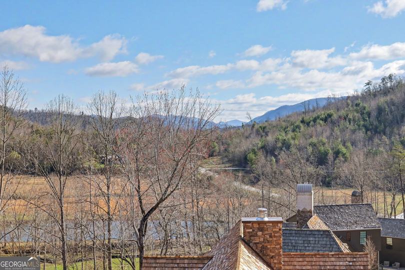 90 Cove View LN, Clarkesville, GA - Image #61