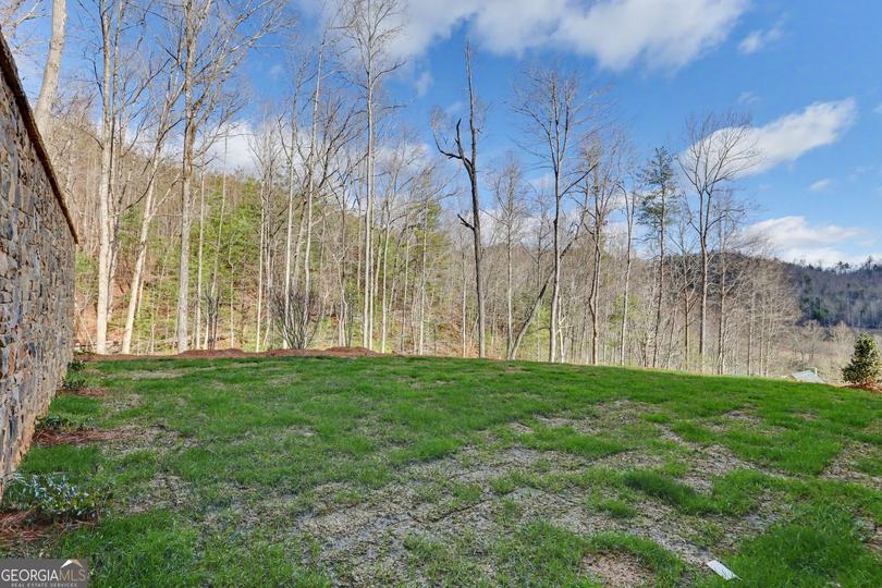 90 Cove View LN, Clarkesville, GA - Image #78