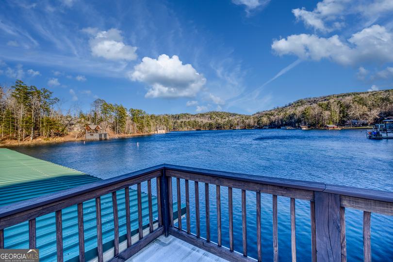 43 Seasons View CT, Clarkesville, GA - Image #92