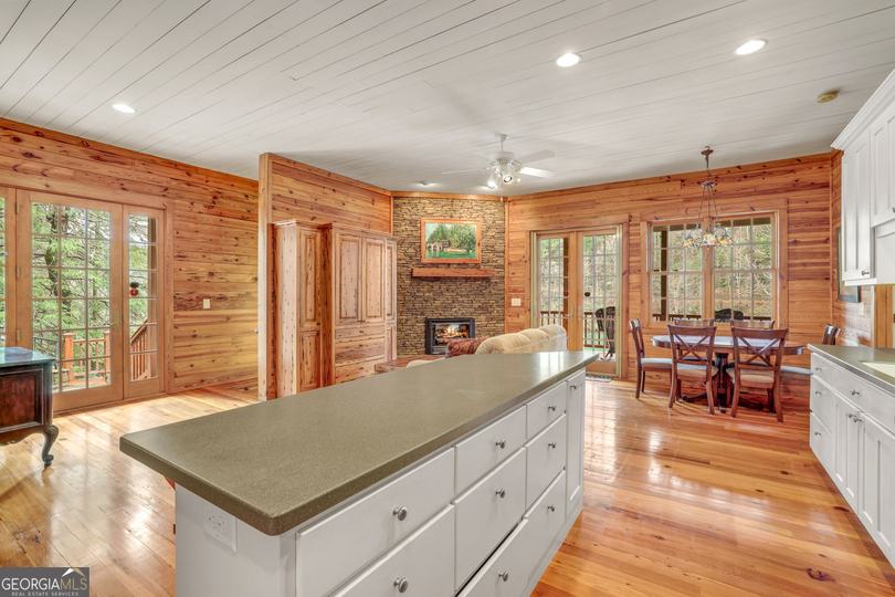 1233 Tame Turkey RD, Lakemont, GA - Image #3