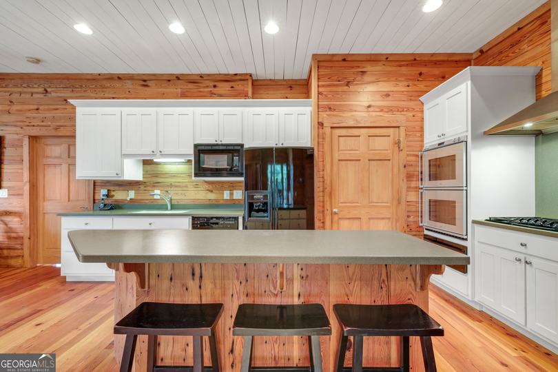 1233 Tame Turkey RD, Lakemont, GA - Image #4