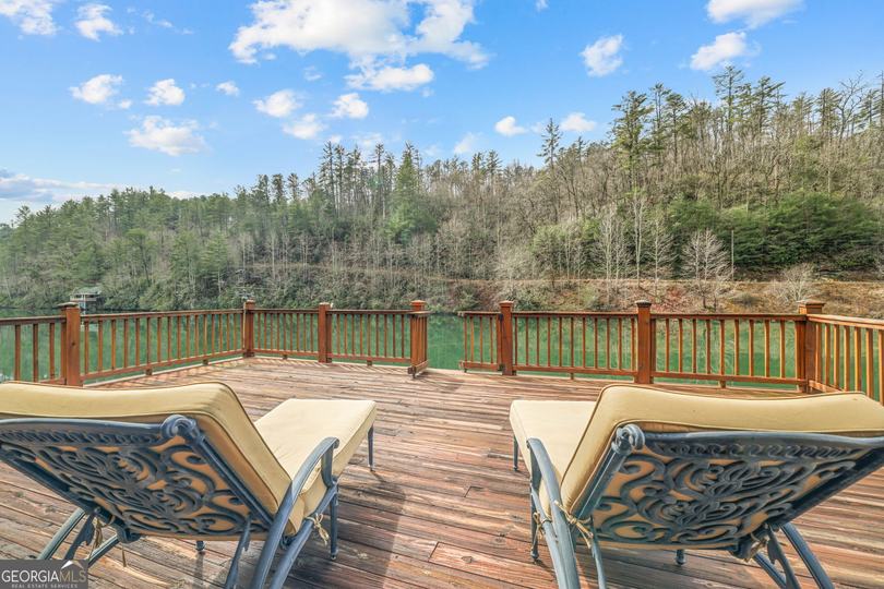 1233 Tame Turkey RD, Lakemont, GA - Image #47