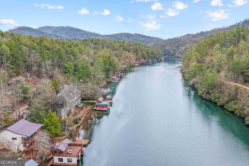 1233 Tame Turkey RD, Lakemont, GA - Image #54
