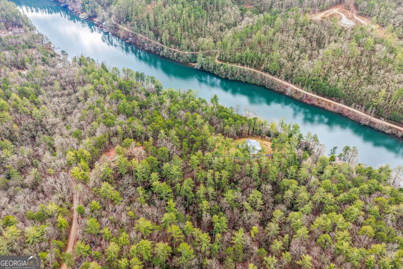 1233 Tame Turkey RD, Lakemont, GA - Image #55