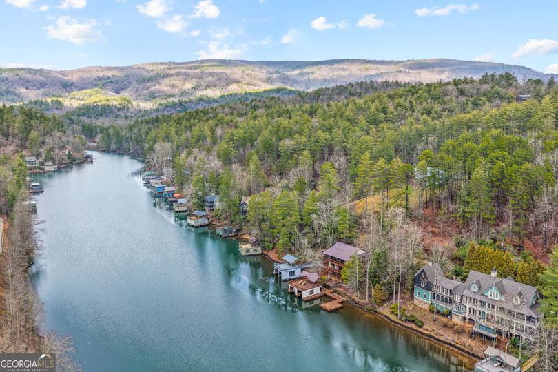 1233 Tame Turkey RD, Lakemont, GA - Image #59