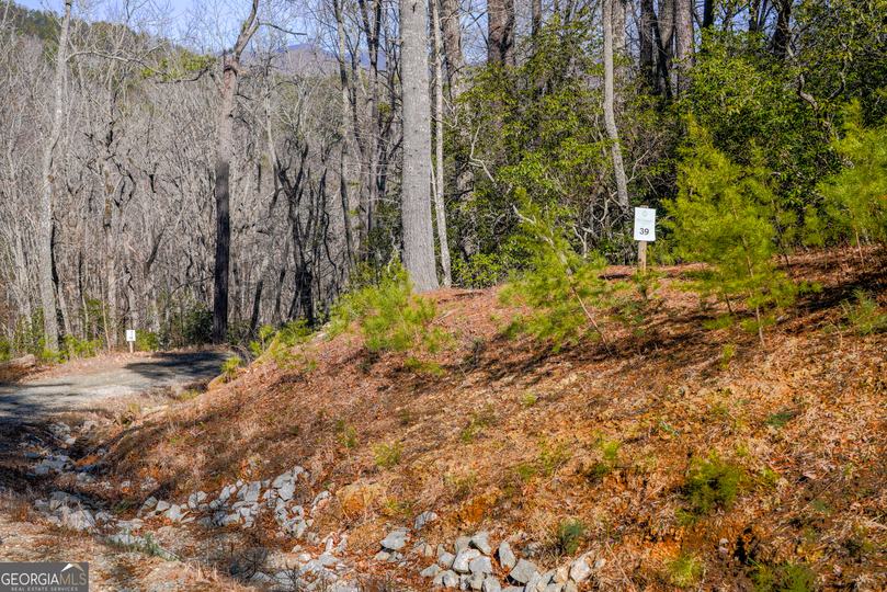 Ivy Ridge Way, Clarkesville, GA - Image #2