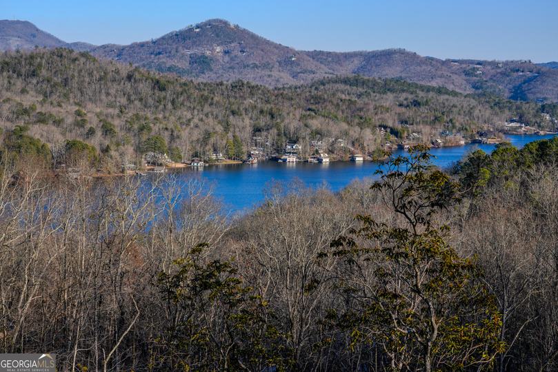 Ivy Ridge Way, Clarkesville, GA - Image #3