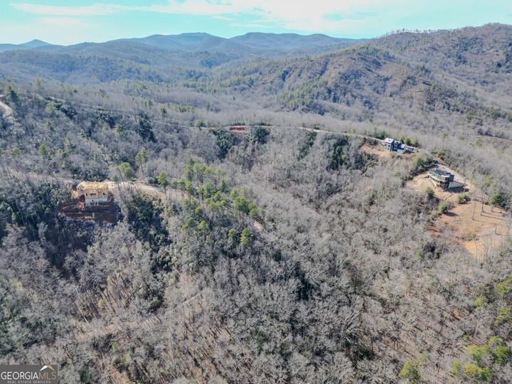 Ivy Ridge Way, Clarkesville, GA - Image #4