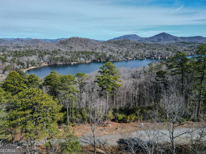 Ivy Ridge Way, Clarkesville, GA - Image #6