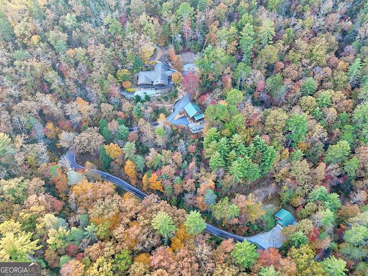 9406 Bridge Creek RD, Tiger, GA - Image #99