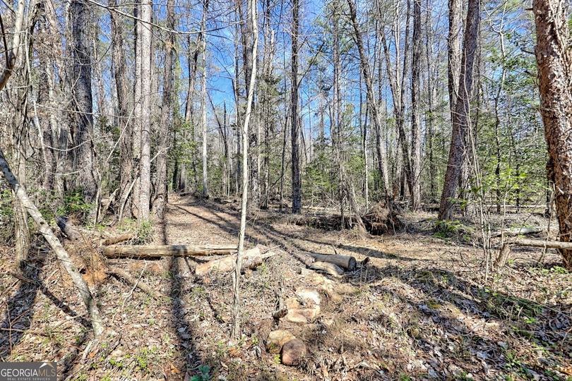 4960 Laurel Lodge RD, Clarkesville, GA - Image #36