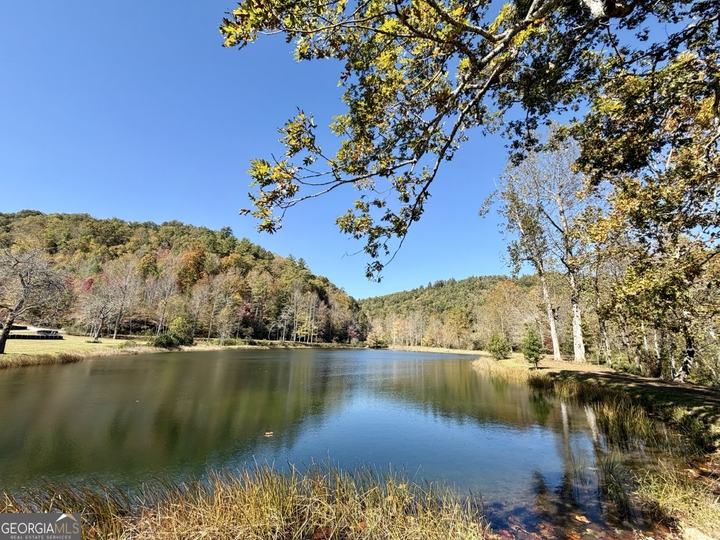 175 Waters Edge LN, Clarkesville, GA - Image #10