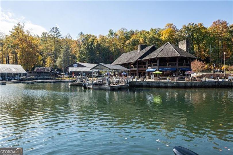 175 Waters Edge LN, Clarkesville, GA - Image #19