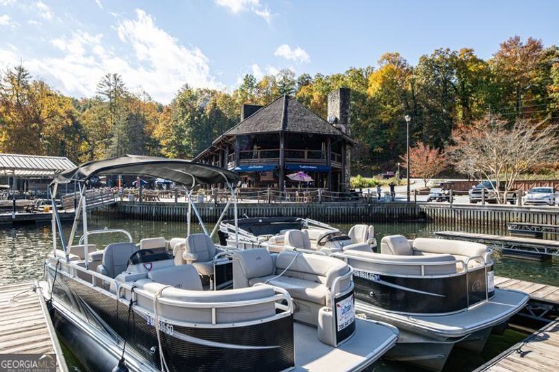 175 Waters Edge LN, Clarkesville, GA - Image #20