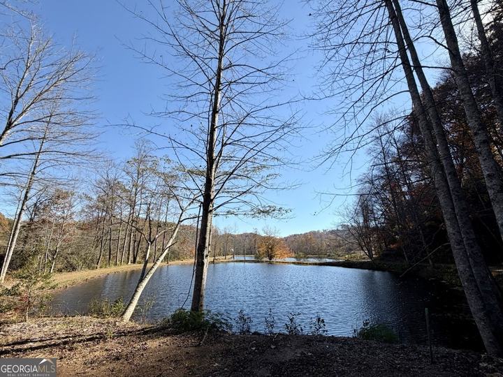 155 Waters Edge LN, Clarkesville, GA - Image #9