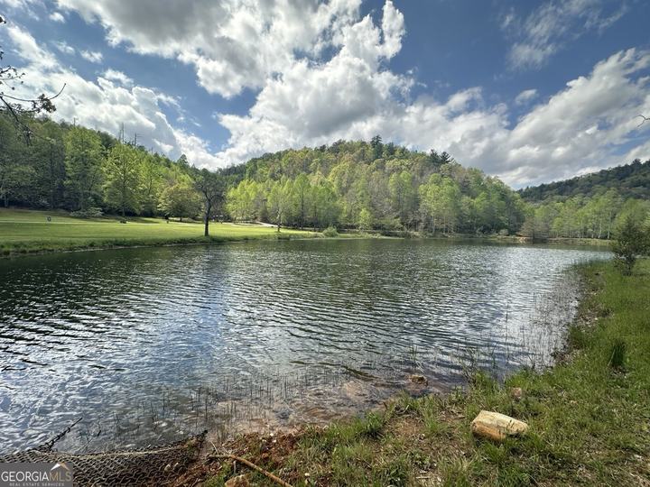 155 Waters Edge LN, Clarkesville, GA - Image #13