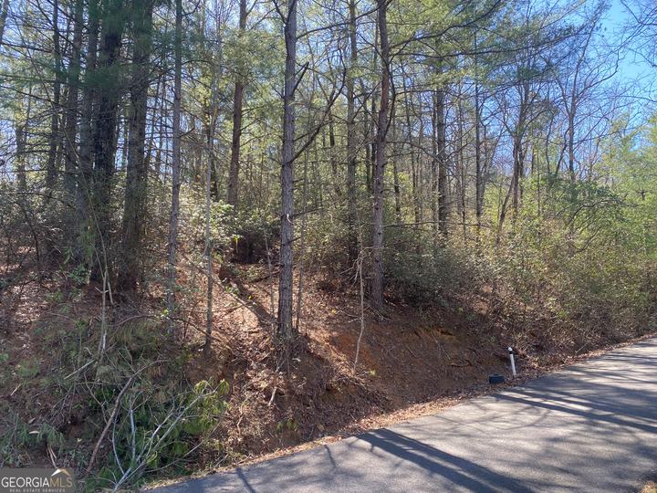 Lot 27 Lake Rabun Bluffs, Lakemont, GA - Image #1