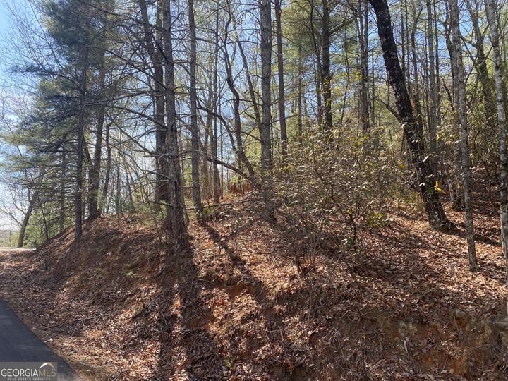 Lot 27 Lake Rabun Bluffs, Lakemont, GA - Image #2