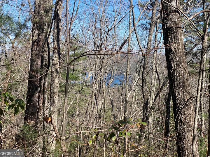 Lot 27 Lake Rabun Bluffs, Lakemont, GA - Image #3