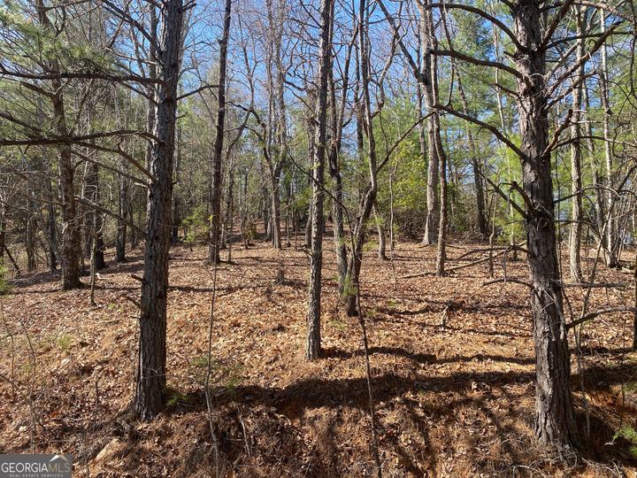 Lot 27 Lake Rabun Bluffs, Lakemont, GA - Image #4